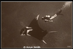 "Manta and Me 1975" 

Photo taken by Adriano Trapani, a... by Kaye Smith 